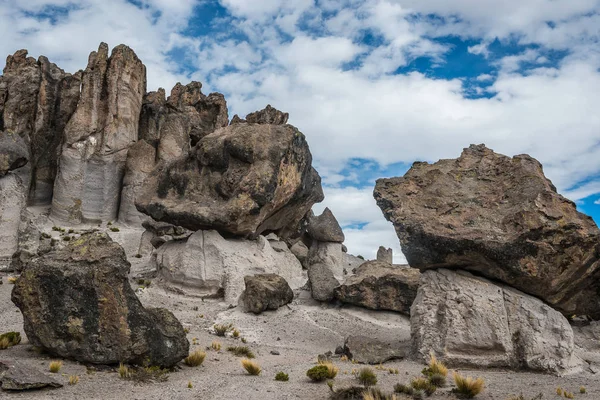 Imata Stenen Woud Peruaanse Andes Bij Arequipa Peru — Stockfoto