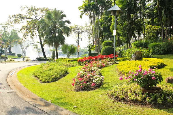 Vacker Botanisk Skott Naturliga Tapeter — Stockfoto