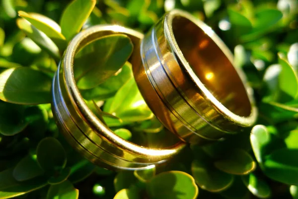 Alyanslar Evlilik Mücevherleri Nişan Yüzükleri — Stok fotoğraf