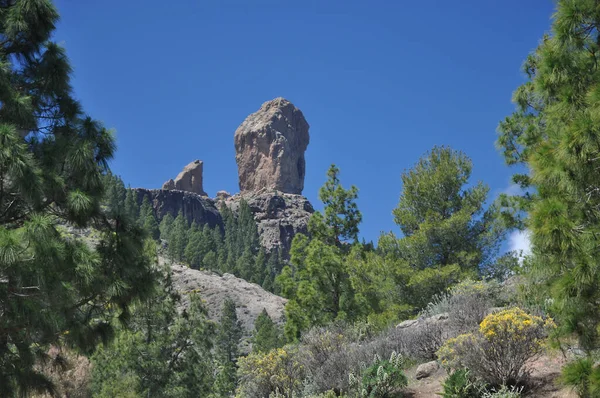 Roque Nublo Gran Canaria — стоковое фото