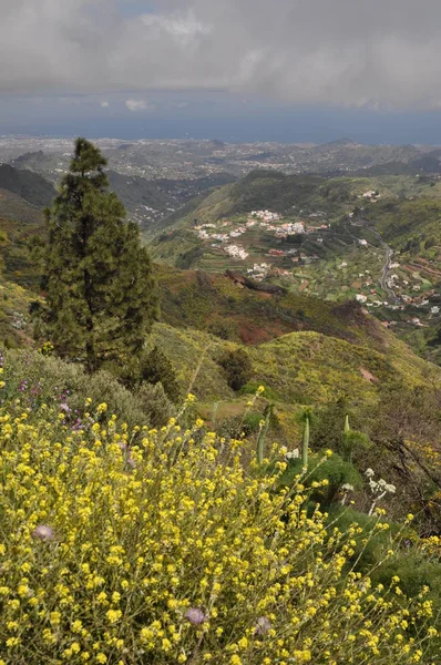 Tejeda Gran Canaria Beautiful Mountains — Stock Photo, Image