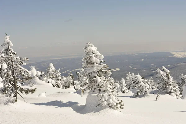 Brocken Snö Och Vinter Harz Misty Landskap Vintern Brocken Harz — Stockfoto