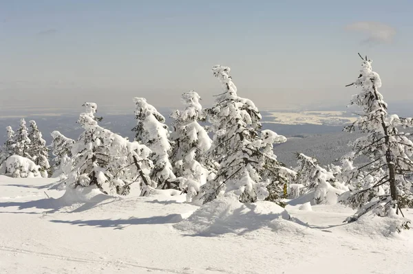 Brocken Schnee Und Eis Winter Harz Misty Landskap Winter Brocken — Stockfoto