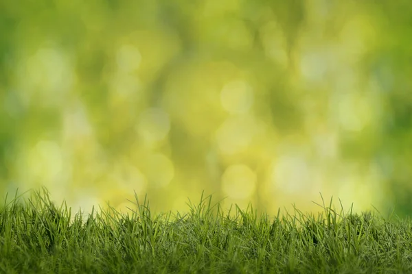 Green Meadow Green Yellow Background Backlight — Stock Photo, Image