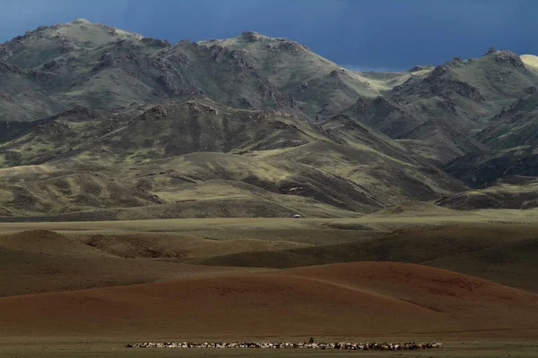 Ландшафты Монголии — стоковое фото