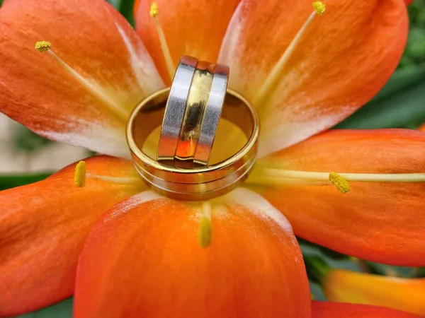 Złote Pierścienie Połączone Pięknymi Kwiatami — Zdjęcie stockowe