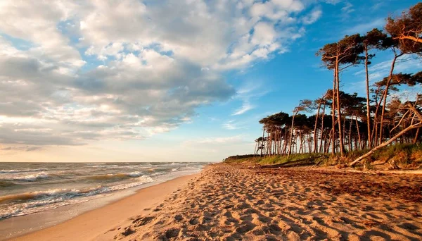 Strand Scene Natuurlijk Water — Stockfoto