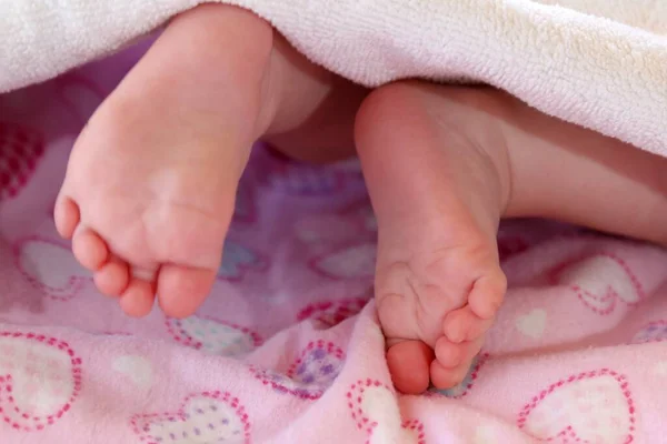 Los Pies Lindos Del Bebé Contra Fondo Rosa — Foto de Stock