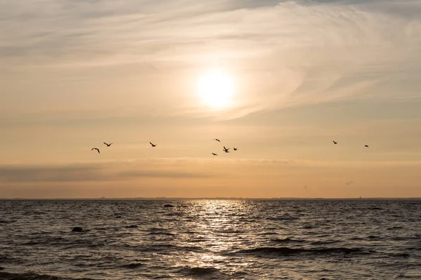 Zonsondergang Baltische Zee Nabij Wismar — Stockfoto