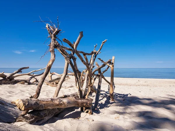 Western Beach Coast Baltic Sea — Stock Photo, Image