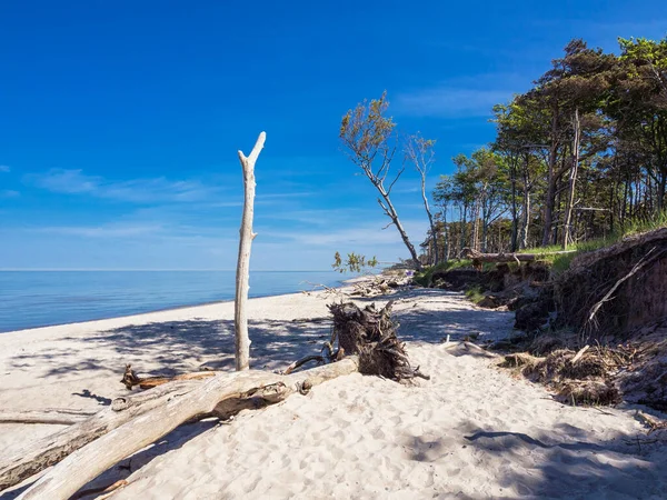 Spiaggia Ovest Sulla Costa Del Mare Baltico — Foto Stock