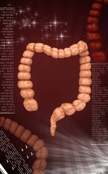 Digital Illustration Intestine Färg Bakgrund — Stockfoto