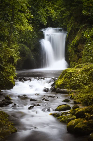 Wasserfall Der Natur Wald Landschaft — Stockfoto