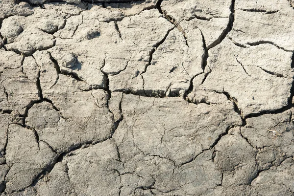 乾燥したひびの入った土地テクスチャ — ストック写真