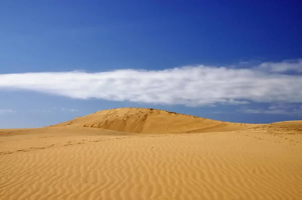 Vista Panorámica Las Dunas Enfoque Selectivo — Foto de Stock