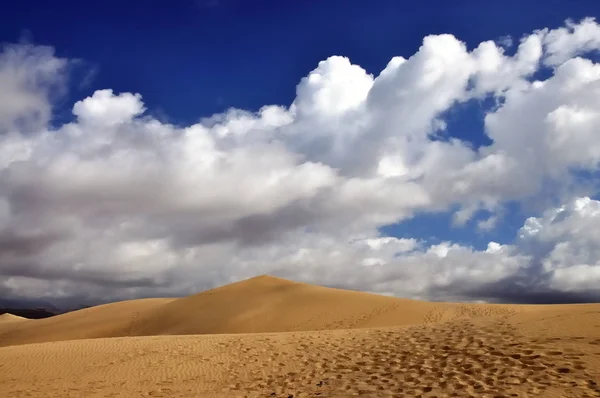 Scenic View Dunes Selective Focus — Stock Photo, Image