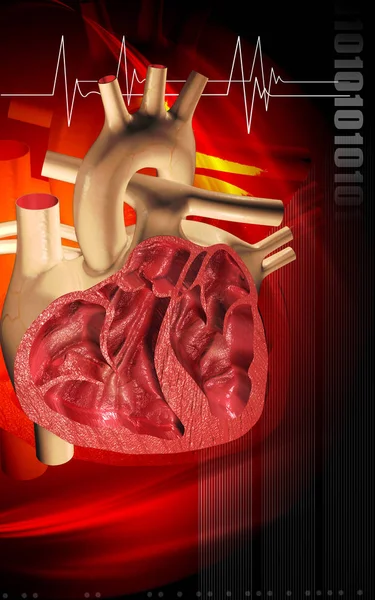 Цифровая Иллюстрация Сердца Цветном Фоне — стоковое фото