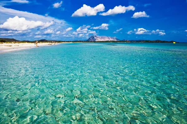 Песчаный Солнечный Пляж Cinta Фелинии Италия — стоковое фото