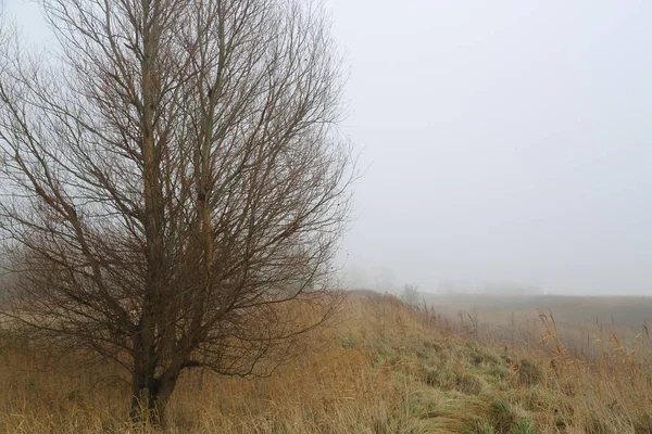 Krásný Výhled Přírodní Scenérie — Stock fotografie