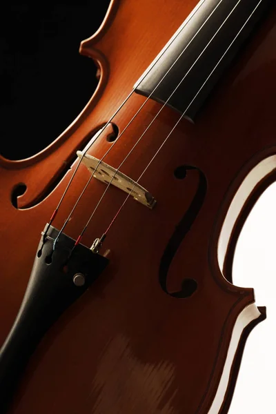 Elegant Shot Violin — Stock Photo, Image