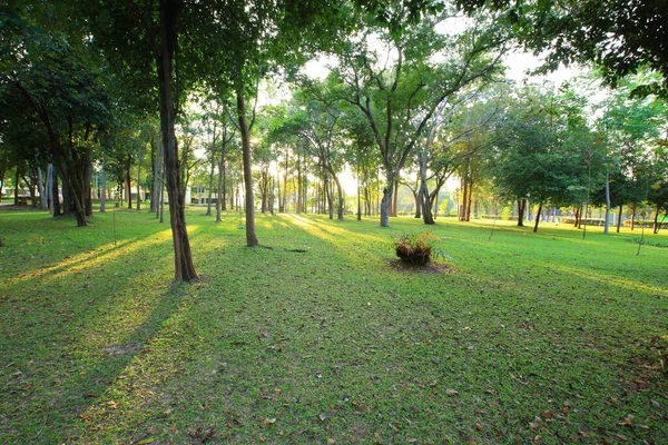 美しい緑の公園 — ストック写真
