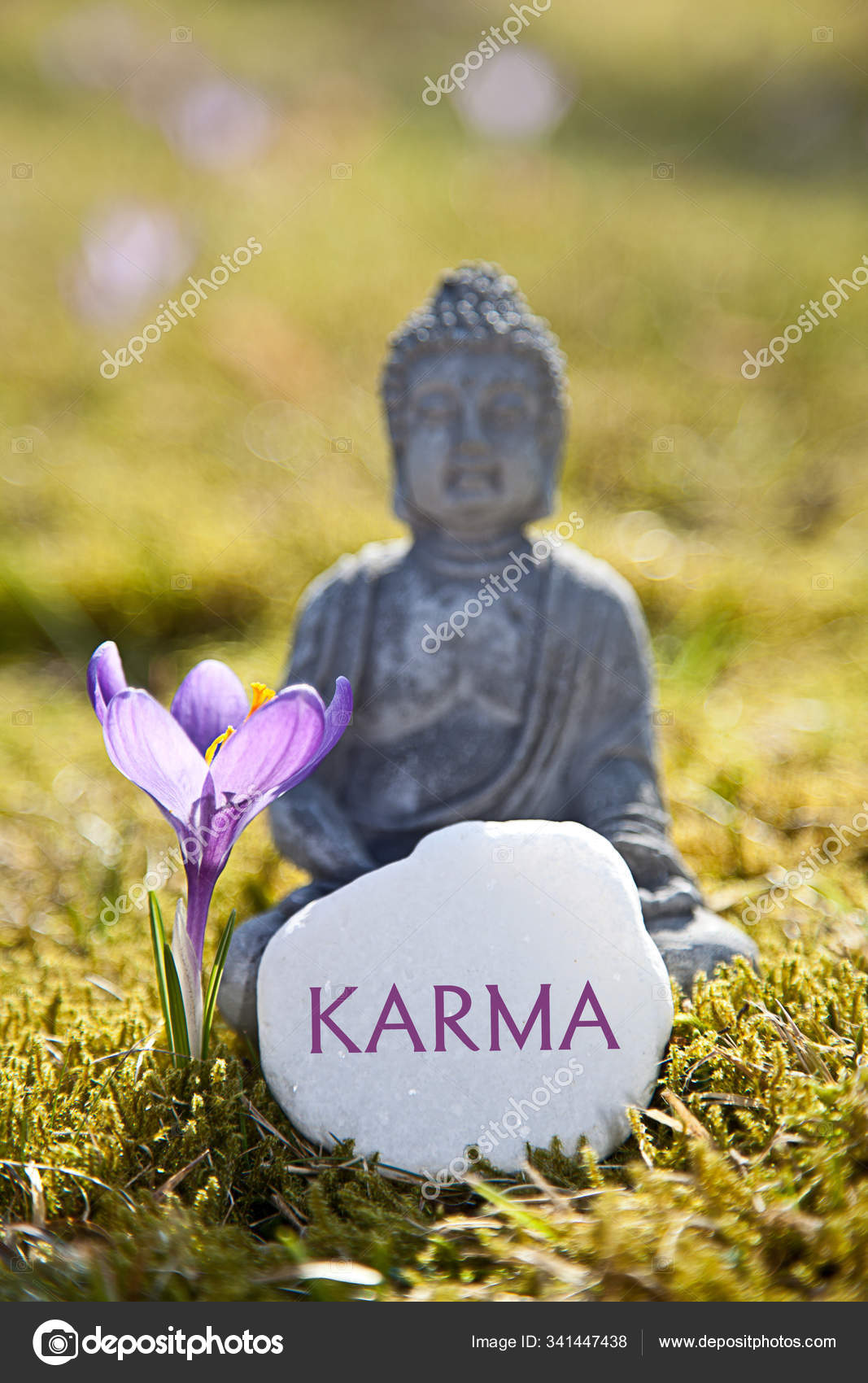 Karma Hinduism Buddhism Spiritual Principle Stock Photo