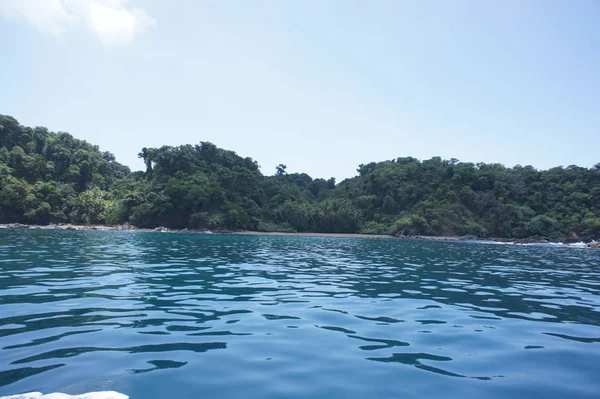 Sommer Schönen Grünen Costa Rica — Stockfoto