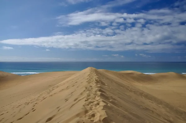 Sanddyner Vid Maspalom Gran Canaria — Stockfoto