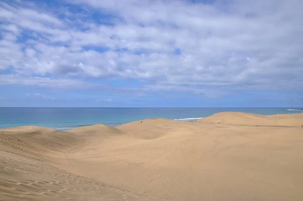 Dunes Sable Près Maspalomas Gran Canaria — Photo