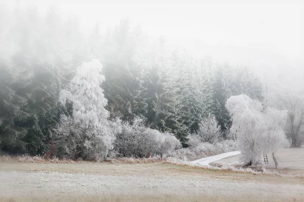 Paisaje Invernal Harz — Foto de Stock