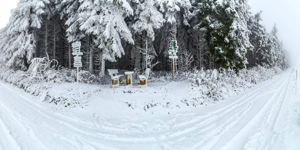 Зимовий Пейзаж Засніженими Деревами — стокове фото