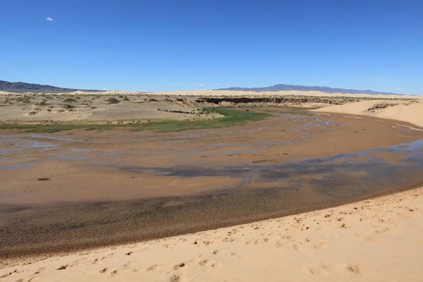 Oasis Desierto Gobi —  Fotos de Stock