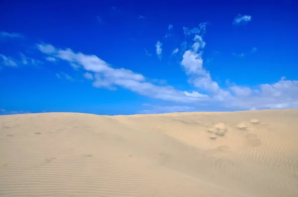 Vista Panorámica Las Dunas Enfoque Selectivo — Foto de Stock