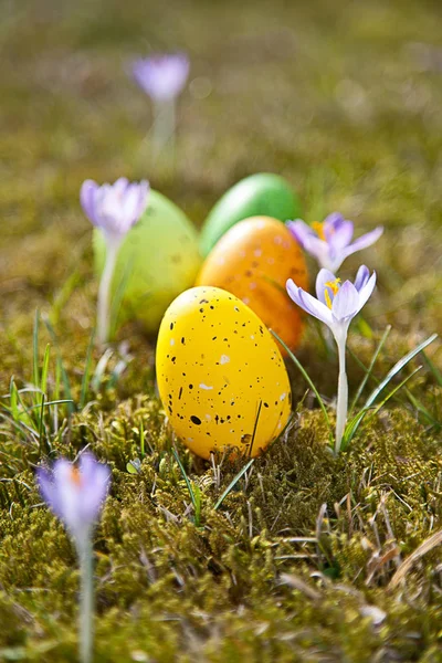 Easter Eggs Colorful Eggs — Stock Photo, Image