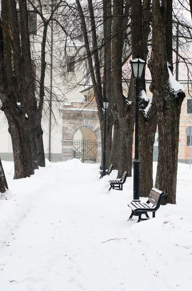 Parque Traído Por Una Nieve Centro Riga —  Fotos de Stock
