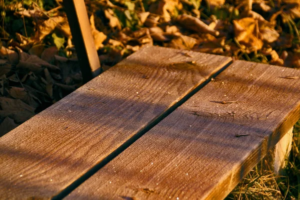 Скамейка Жареными Осенними Листьями — стоковое фото