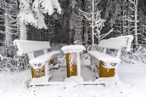 Parque Inverno Com Árvores Cobertas Neve — Fotografia de Stock