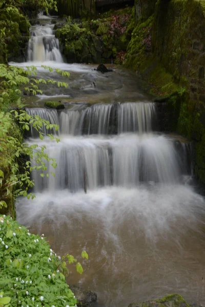 Belle Cascade Sur Fond Nature — Photo