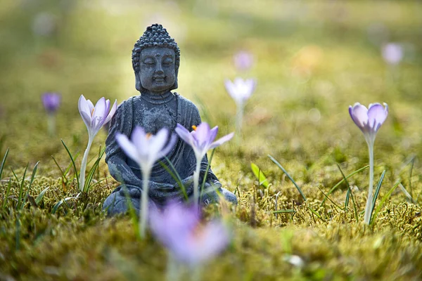 Buddha Meditation Frühling — Stockfoto