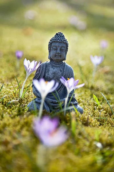 Meditace Buddhy Jaře — Stock fotografie