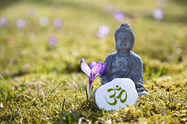 Buddha Staty Lotusposition — Stockfoto