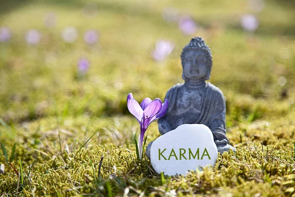 Karma Hindouisme Bouddhisme Principe Spirituel — Photo