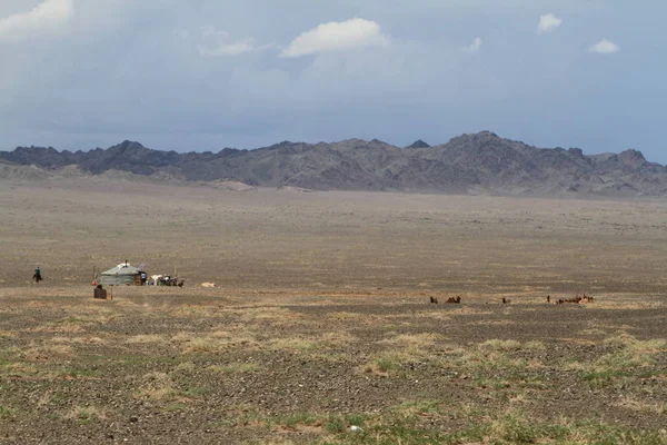 Gobi Çölü Moğolistan Indaki Yurtlar Çadır Yerleşimi — Stok fotoğraf