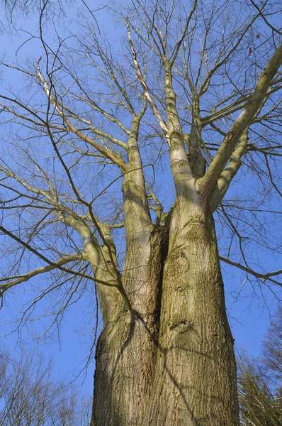 Malerischer Blick Auf Die Landschaft — Stockfoto