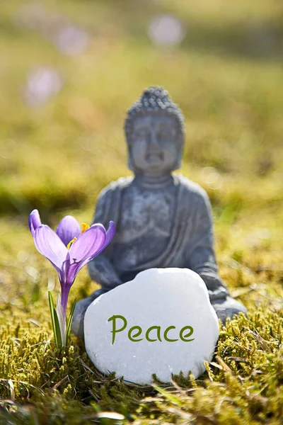 Buddha Statue Und Frieden — Stockfoto