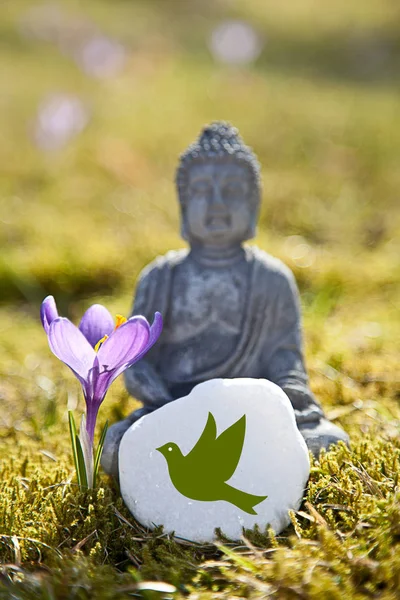 Statue Bouddha Figurine Paix — Photo