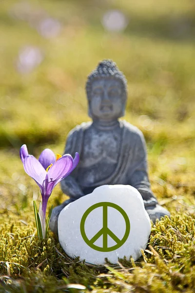 Boeddhabeeld Beeldje Vrede — Stockfoto
