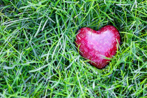 Cuore Rosso Sul Prato — Foto Stock