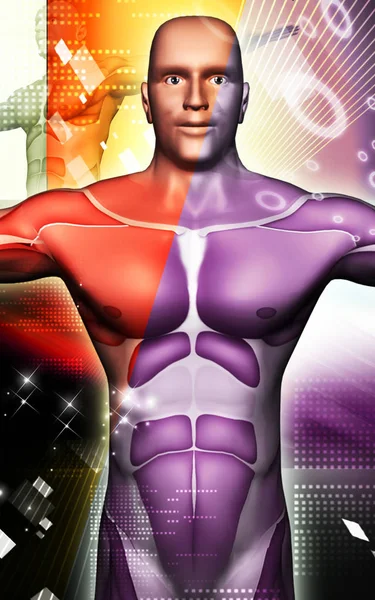 Digitale Darstellung Des Menschlichen Körpers Farbigen Hintergrund — Stockfoto