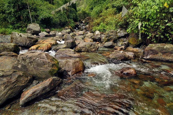 Acqua Che Scorre Attraverso Rocce Fiume Reshi Reshikhola Sikkim — Foto Stock